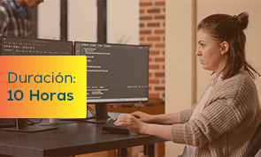 Nociones básicas de programación