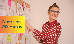 Diseño de Competencias